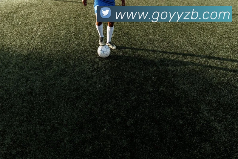 雨燕直播APP 封面图